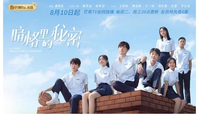 樊治欣|《暗格里的秘密》定档8月10日 陈哲远徐梦洁演绎“少年如风”