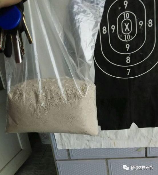 黄化病|总烂根黄叶,盆里撒一把它,不管多难养,很快能冒芽冒花!