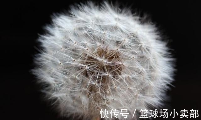 旧情复燃|10月下旬，桃花季，往事重现，前任回头，旧情复燃的4大星座！