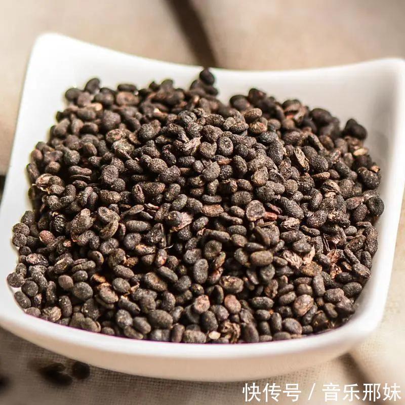 补肾最好的十大中药，除了淫羊藿、肉苁蓉，还有这些