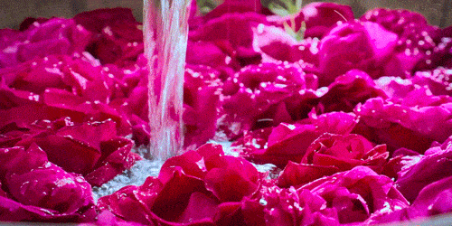 不用揉面也不用发酵！这饼外酥里软，吃到嘴里口齿留香~