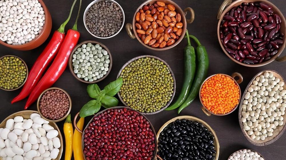 抗性淀粉|为什么一直减肥却总不掉称?想要有效减肥,掌握方法很关键!