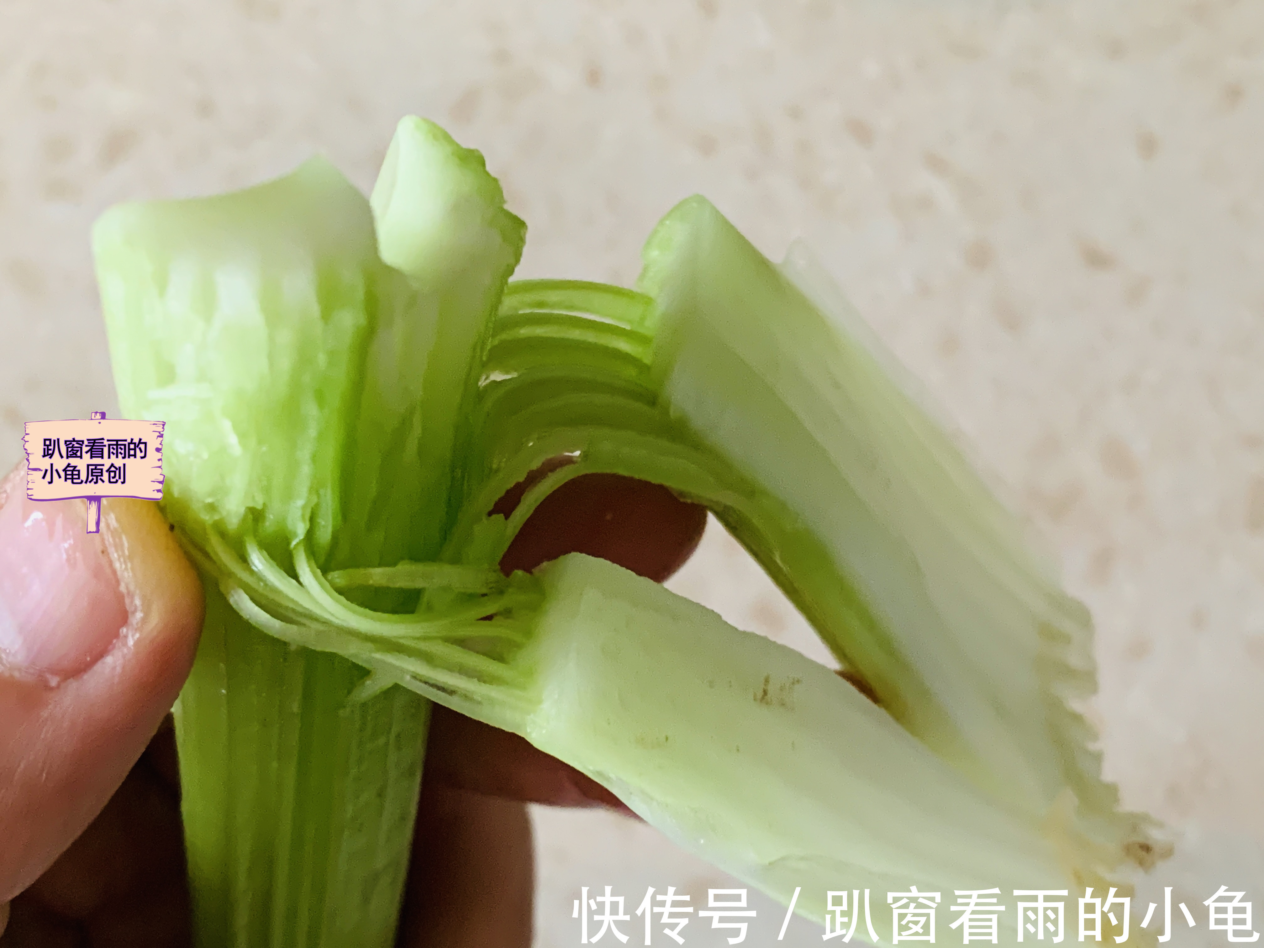 清脆|入秋后,记得给家人做这道快手菜,清脆爽口,营养滋补降秋燥
