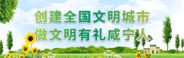 业务|咸宁压减“承诺时限”，12项业务一天办结