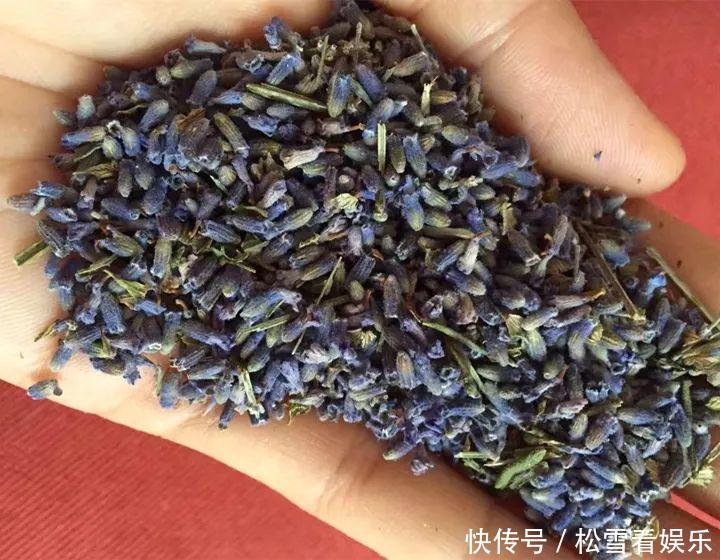 种花|3种花浑身都是宝,能炒菜能煲汤,养在屋里香气飘飘!