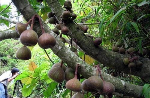 肌肤|女性不想早衰老，以下食物换着吃，排毒养颜，呵护肌肤，气色也好