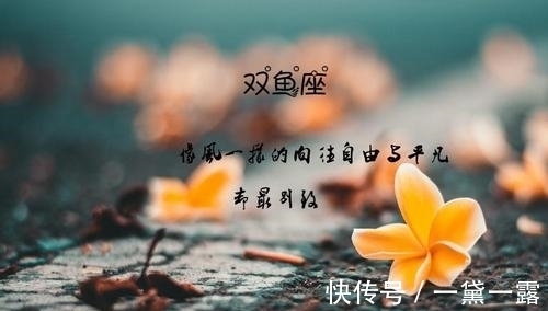 双鱼座|下月，桔梗寄情，旧爱相遇，3星座重燃爱火，余生相守