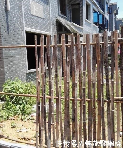 小院|自家小院简单改造就很美，生活废物可以利用，根本花不了多少钱！