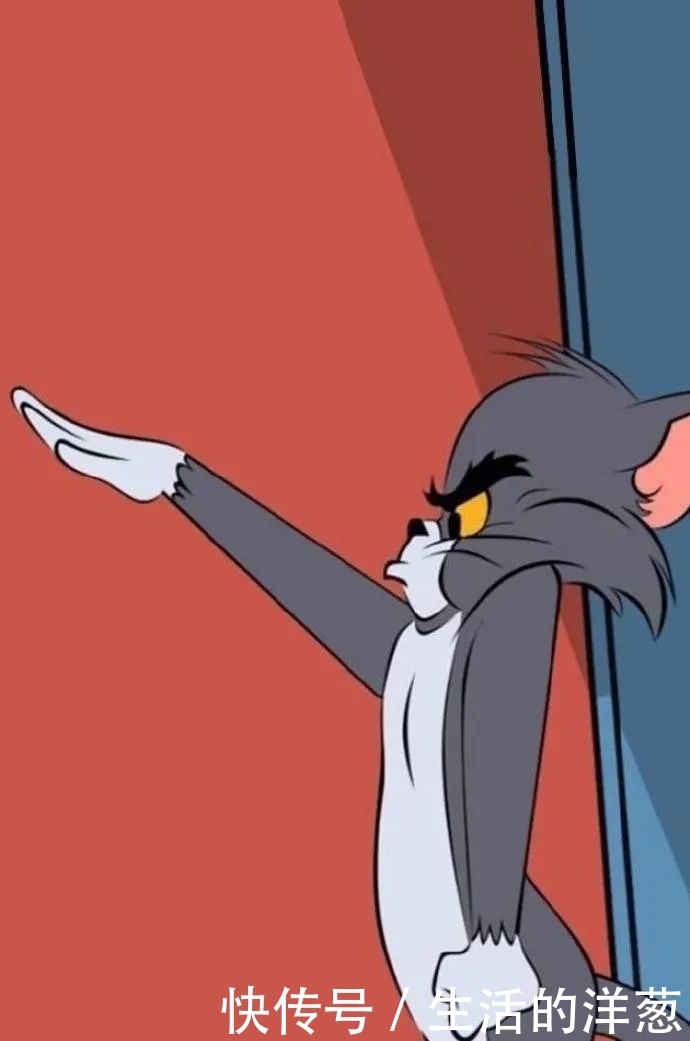 配不上|原来的壁纸已经配不上你的iPhone12了,快来换新的猫咪壁纸