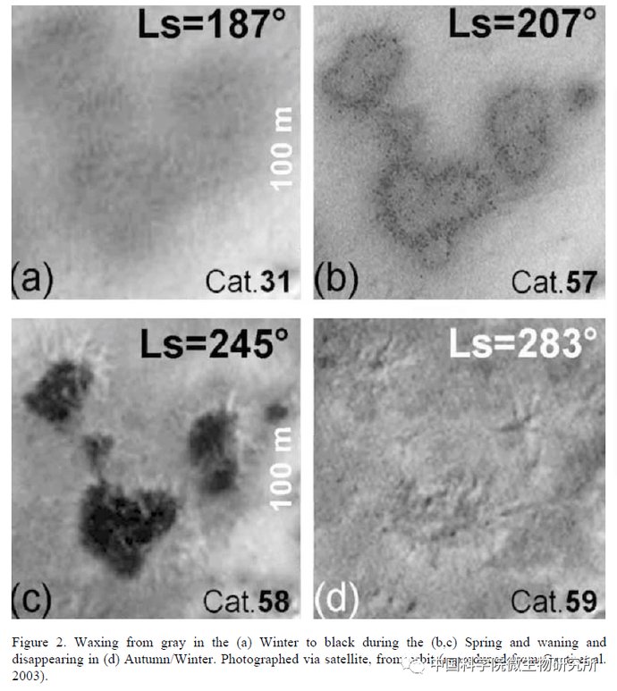非生物 火星上存在真菌吗？