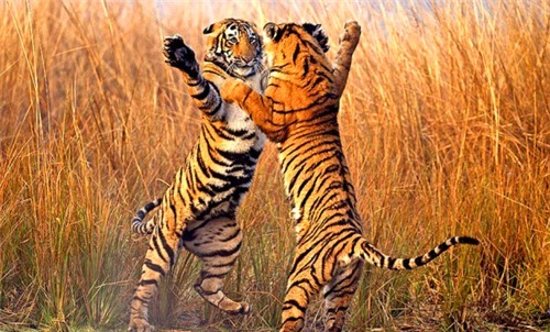 剑圣|中国古代有八圣,其中七圣世人皆知,为何只有剑圣默默无闻?