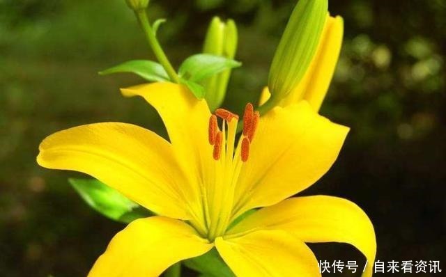 三件|做好这三件事,家庭的幸福不请自来