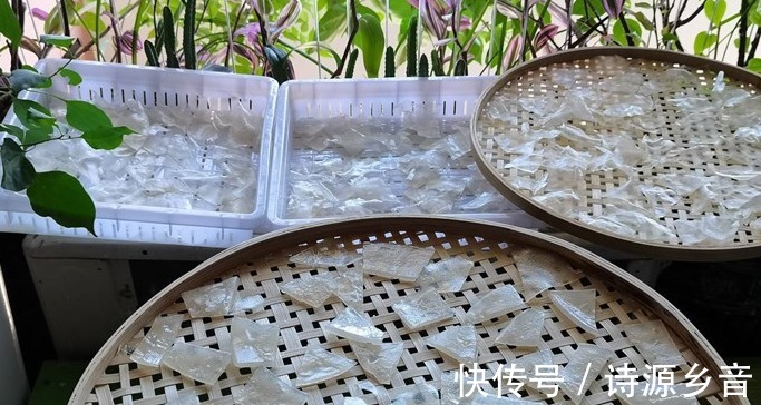 自制|这样制作凉皮，清水洗出面筋，蒸上就是凉皮，晒干就是粉皮干！