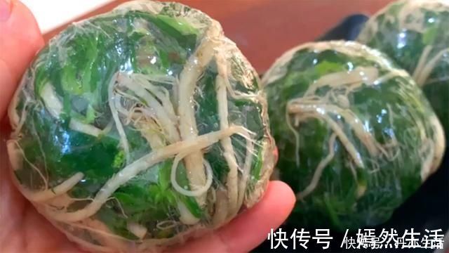 萝卜|天冷了,吃萝卜吃白菜不如这菜,比韭菜还鲜,用它包饺子,太香了