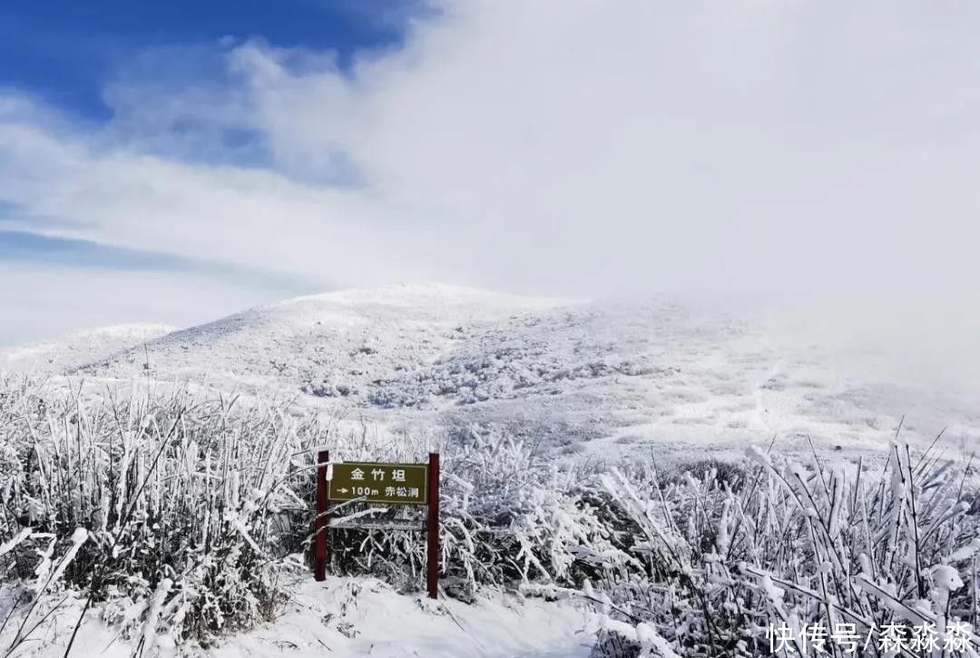 山下|十里风雪天涯路，秦岭雪乡留下吧，紫柏山下是我家