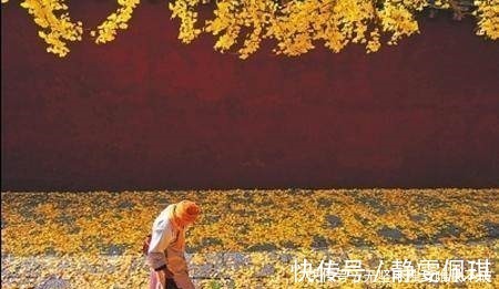 明惠|佛家一句话，胜读十年书！何况这次给出了十句！