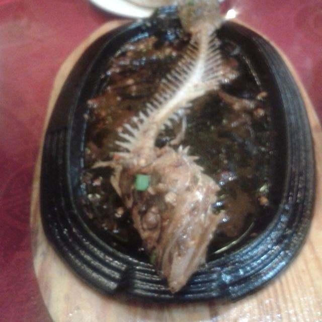 施肥|长寿花最喜欢这种肥,盆里埋一点,一年施肥麻烦都省了