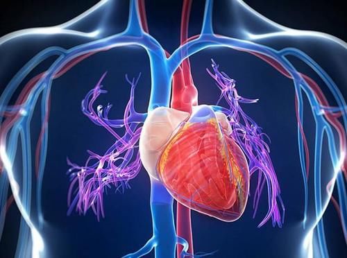 红润|长期坚持跑步，虽然人瘦了，但却“变老了”，这是为什么？