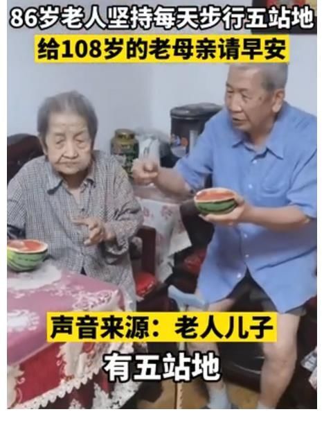 聊天记录|痛失挚爱8年后,撒贝宁痛哭:“我爱的人,再也回不来了”