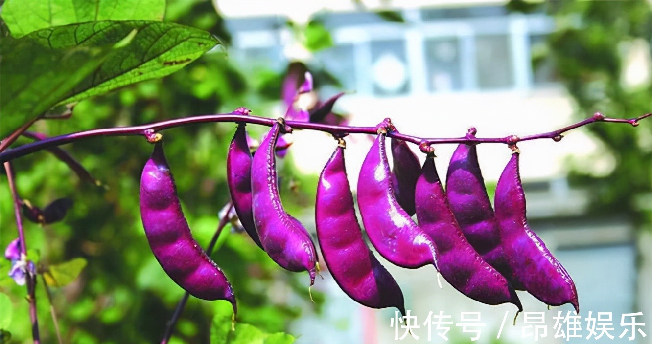 润肤|想长寿全靠吃,三种食物不能省,营养丰富,补水润肤,好处多多