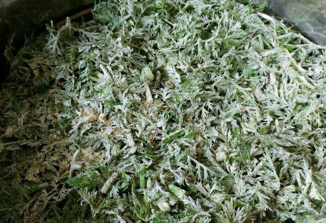 常被忽略的菜叶子,1块钱买一把,蒸着吃最香,不懂吃可惜了