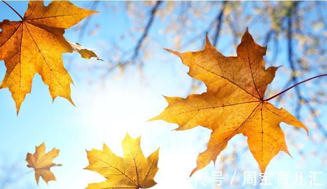 脑梗塞|头晕不要着急，这十个引起头晕的原因你需要知道