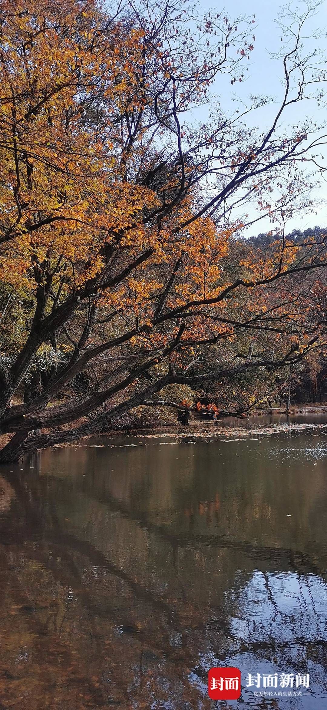 冕宁县|亮相第一天 彝海景区的票数冲到了前二十｜冬游四川上封面