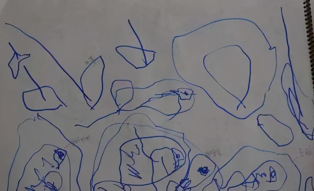  孩子的兴趣|母亲“纵容”儿子墙上涂鸦，曾因此赔偿数千元，但作品相当惊艳