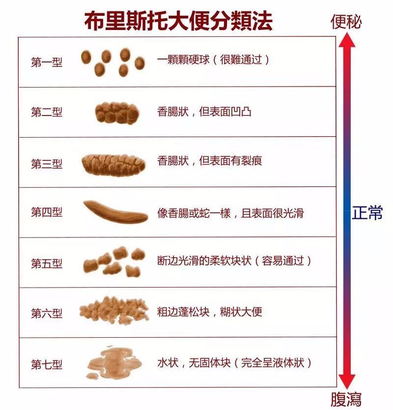 排便感|早上大便和晚上大便有区别吗？其实这点更重要，可能和你想的不一样！