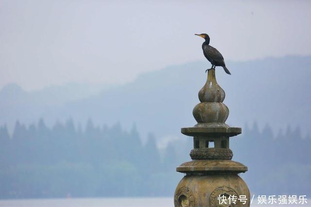 三潭印月是西湖十景之一，被誉为“西湖第一胜境”