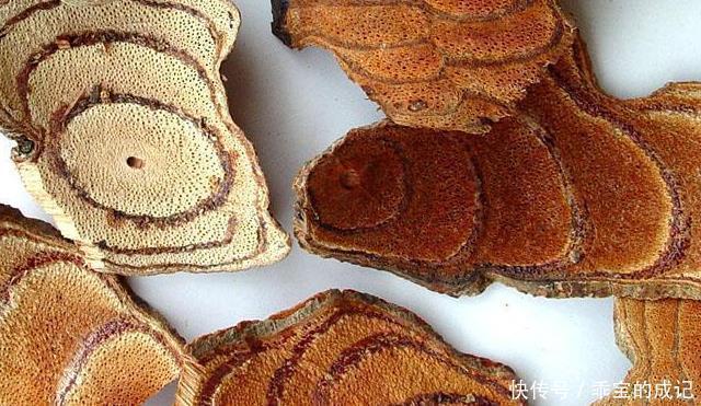 膝关节|膝盖疼？滑膜炎别担心，桑枝配黄酒，不出一周，膝盖不疼积液消失