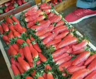  小伙儿街头卖“胡萝卜”，仔细一看是草莓，2小时卖光了5箱