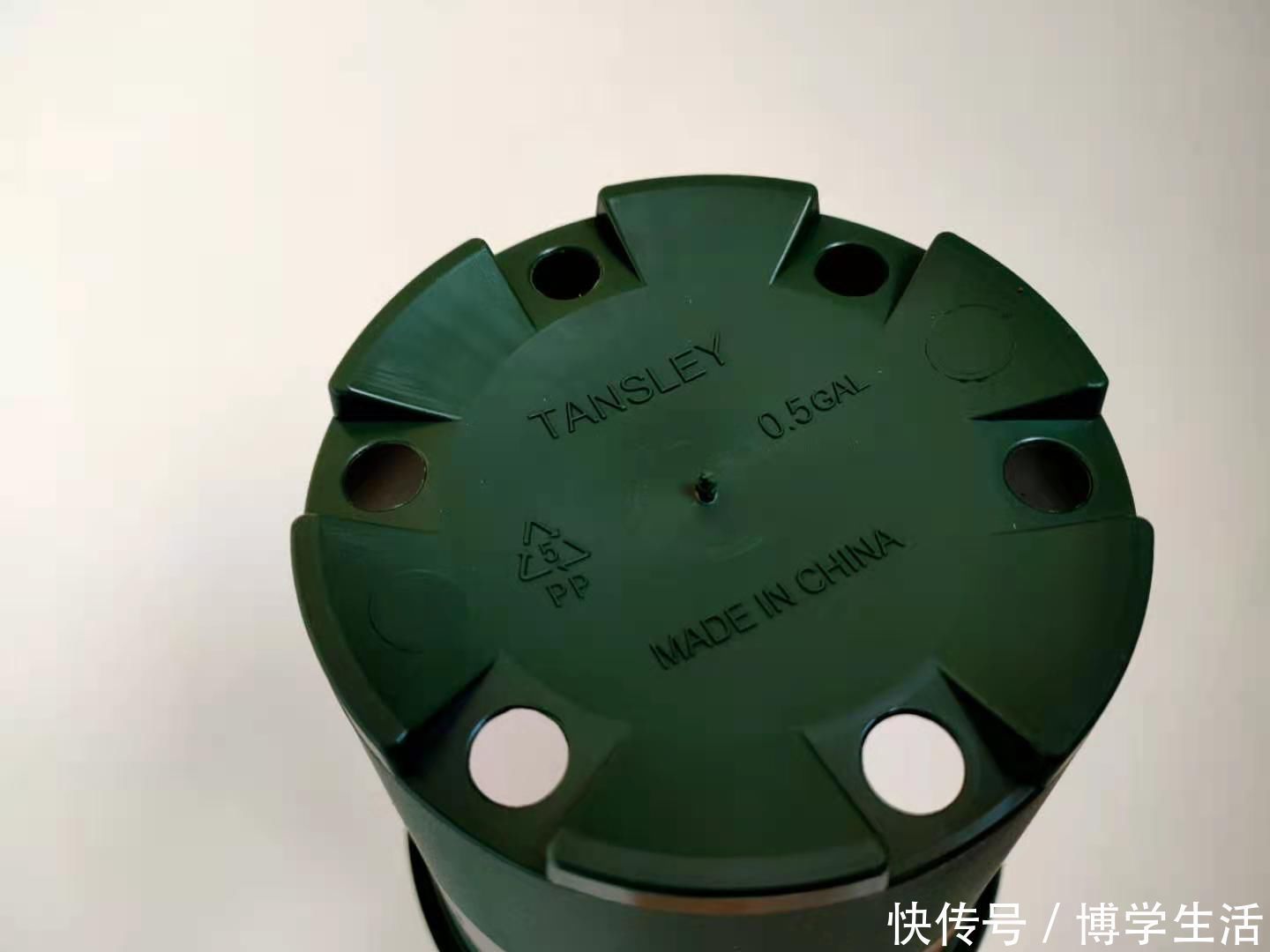 土壤|花盆底垫什么好?推荐一些实用的东西,既透水又保肥