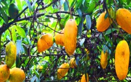 健康长寿|每天坚持吃3种食物,营养丰富、延缓衰老,身体棒棒哒!