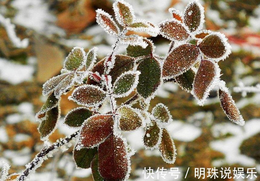 诗作&杨万里李贺的奇诗,一首无一热字句句写热,一首无一冷字句句写冷