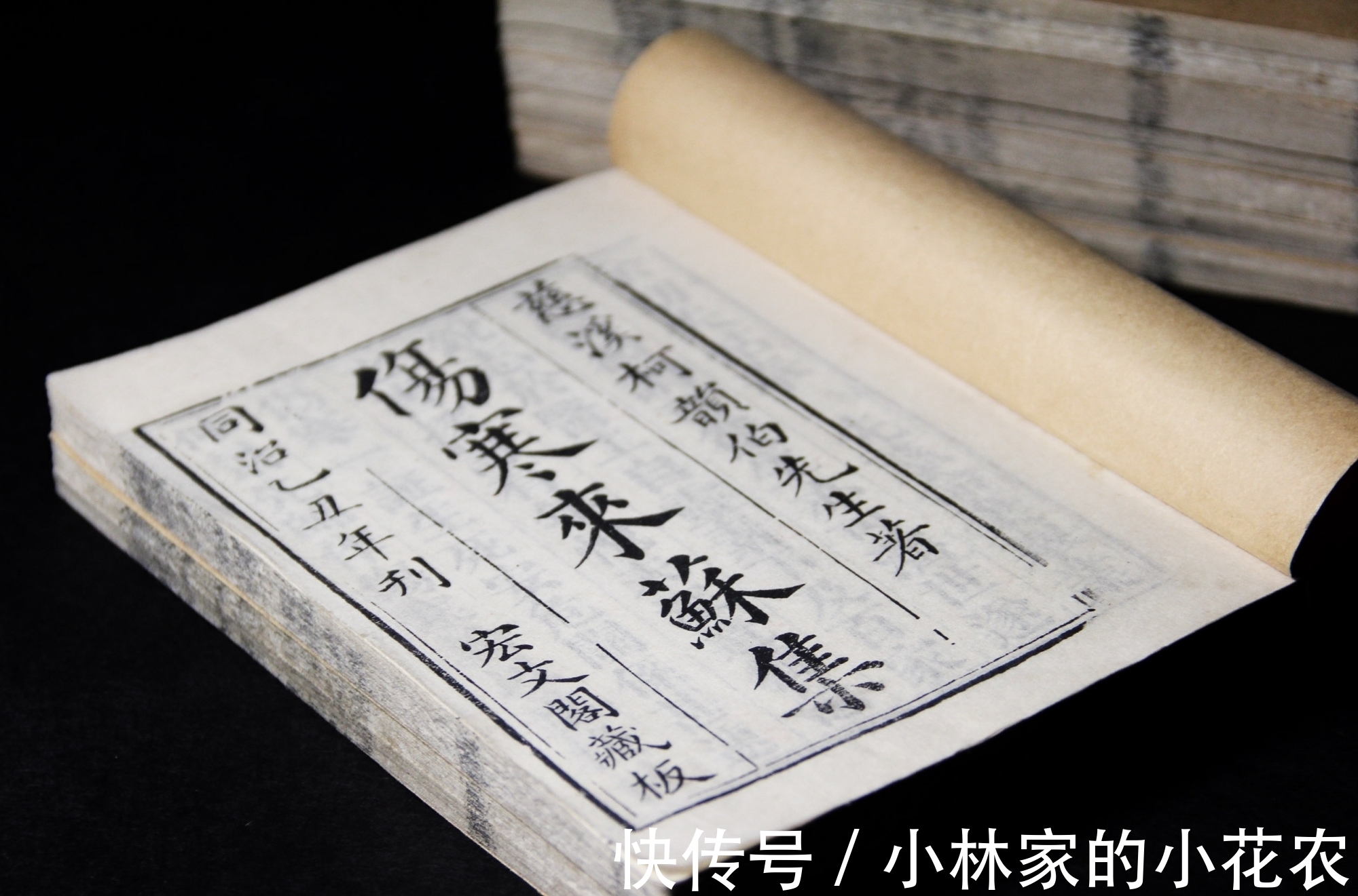 藿香正气|谈六经钤百病