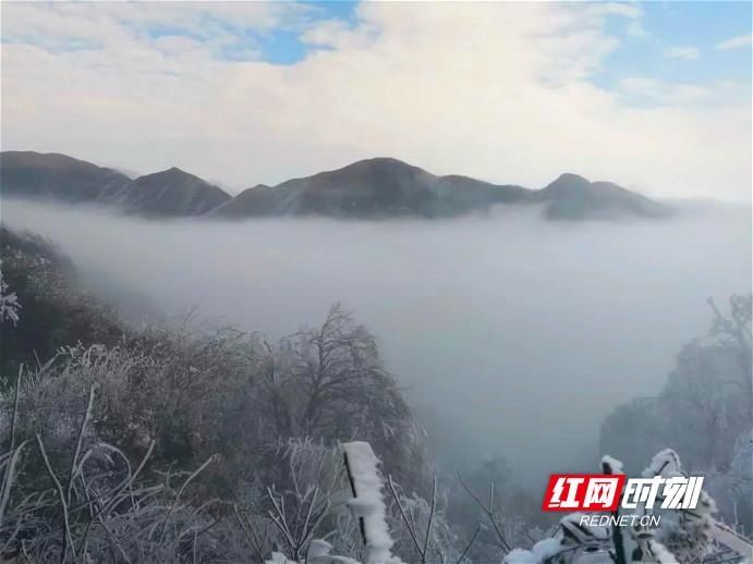 首场|城步南山风景名胜区迎来“首场雾凇美景”