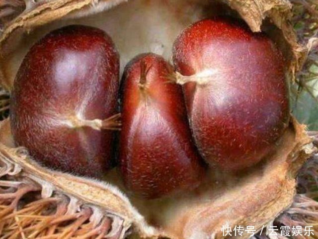 這4物被稱(chēng)為“腎黃金”，男女都盡量多吃點(diǎn)，或助腎臟更健康