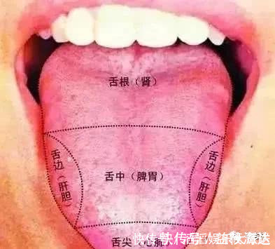 上火|火在肺里鼻炎,火在肝里失眠,火在胃里口臭,一招降火效果好!