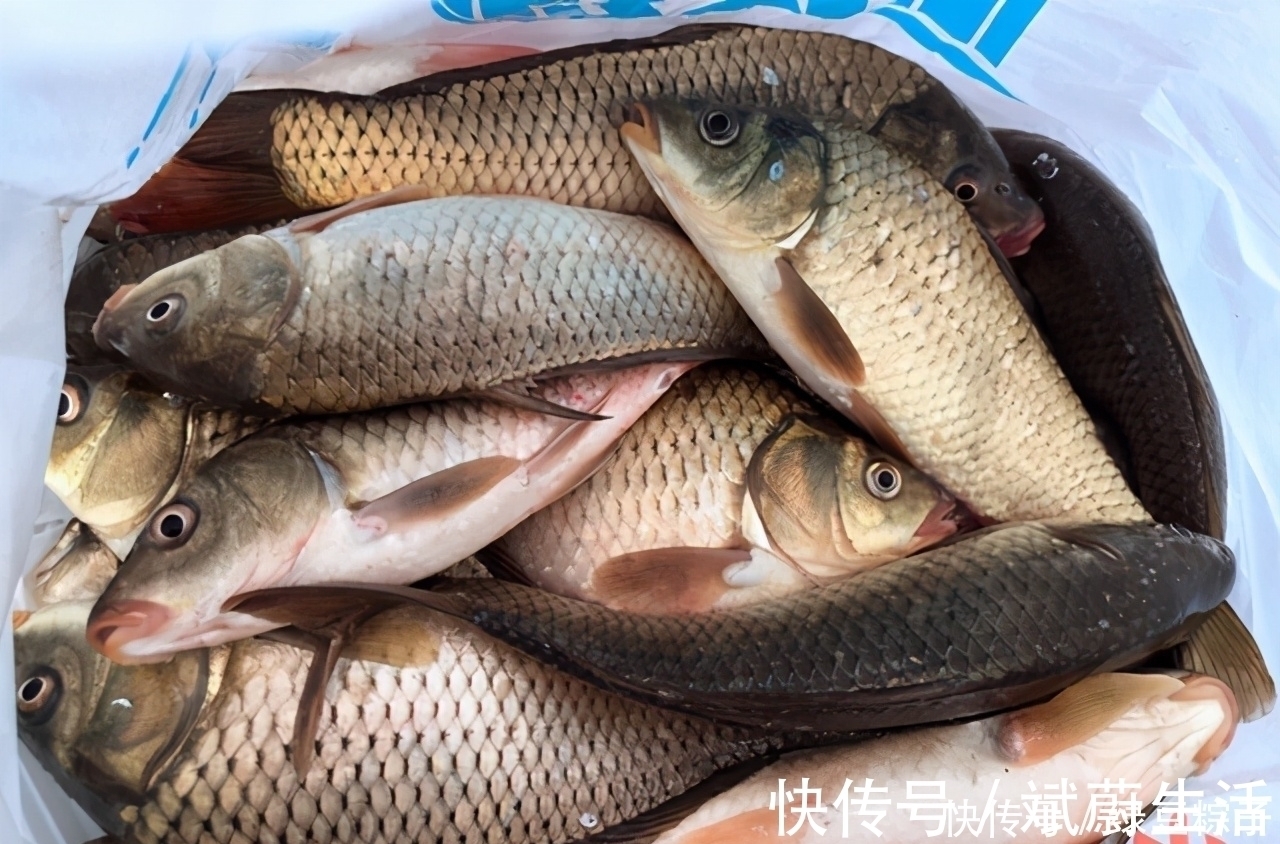 鱼肉|肝脏最喜欢的5种蔬菜,堪比“补品”,便宜又营养,比吃药管用