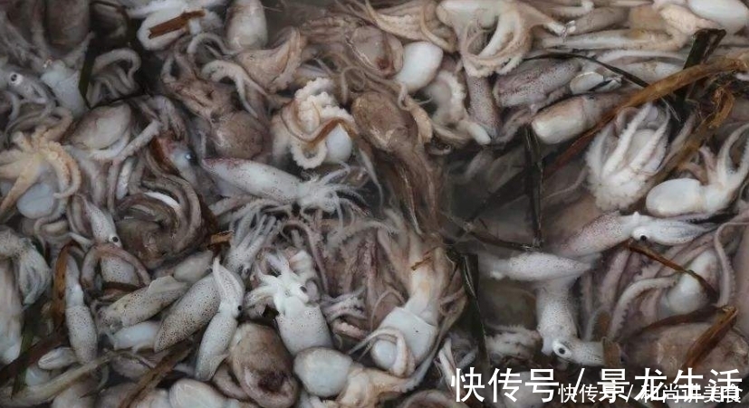 白玉菇|八爪鱼要怎么做才好吃?这道石烹酸汤八爪鱼你不容错过!