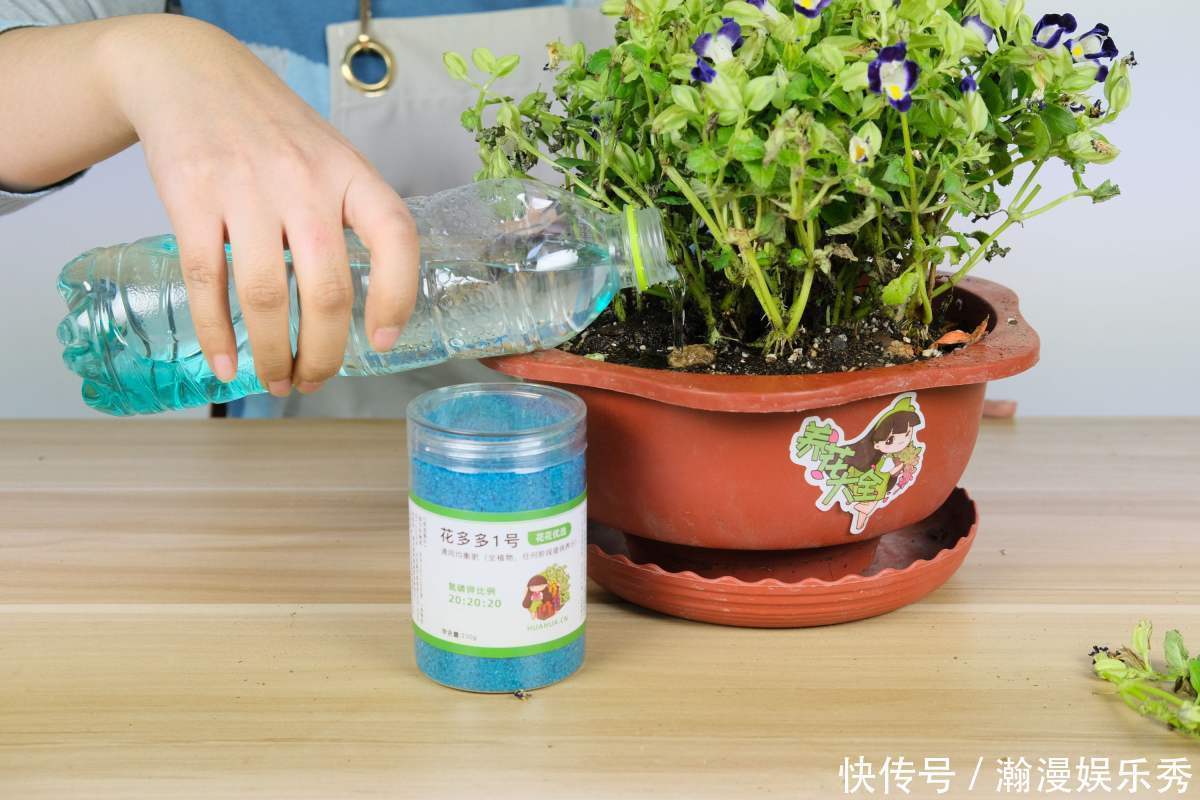 硬度|教你一些浇水的方法,从此浇花不再盲目,花长得又快又旺!