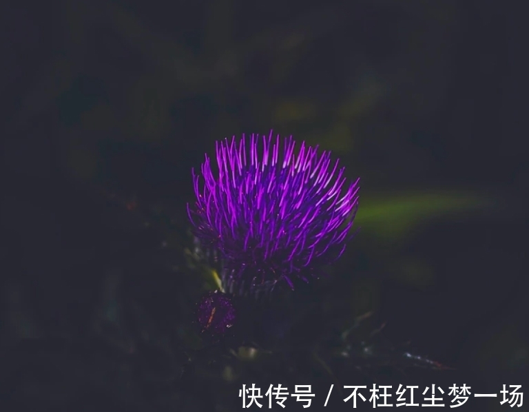 巨蟹座|7月，城府很深，缘分很浅，3星座桃花炸裂，姻缘归位，旧情复燃