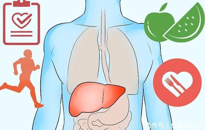 肝脏|如果你平时经常吃8种食物，你的肝脏会非常感谢你，你爱吃几种呢