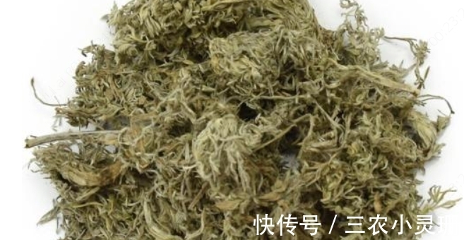 农村|农村一种野菜只能当月吃,下个月药效就没了,城里一斤20块