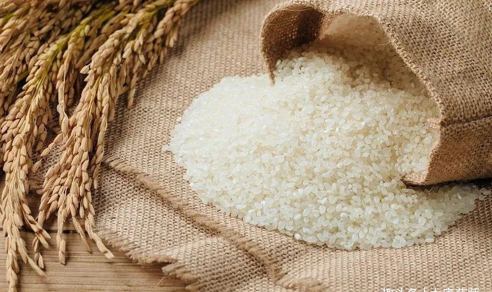 瘀滞|一个元气大增的良方!补足脾虚、肾虚、血虚、气虚,老少皆宜!