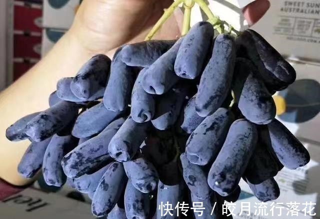 好吃|家里有阳台院子,这种果实别嫌弃,又好看又好吃,你见过吗!