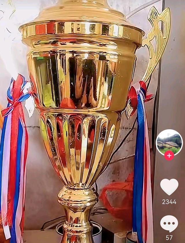 红姐|全红婵家摆设朴素!墙上就贴了3张冠军图,红姐的奖牌被丢在角落