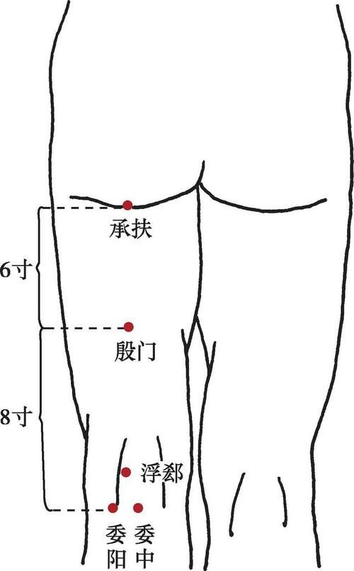  清热解毒|国医大师吕景山对穴：清热解毒消肿类 委中—女膝