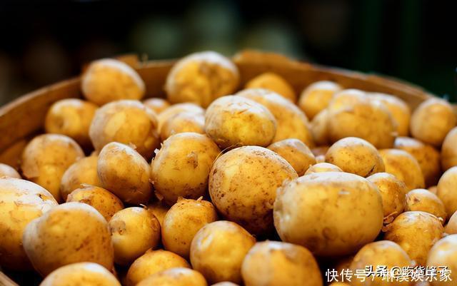 住楼房咋保存土豆?教你1个好方法,吃到明年春天不变绿不发芽